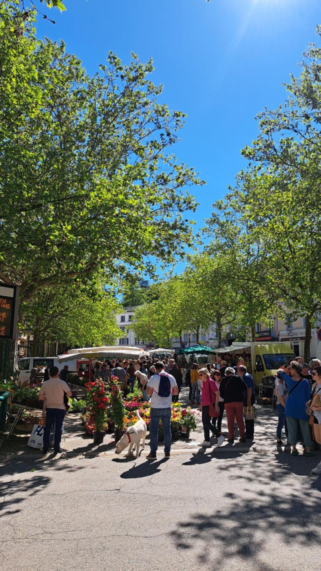 Du Doubs Au Doux Villa Lamastre Dış mekan fotoğraf